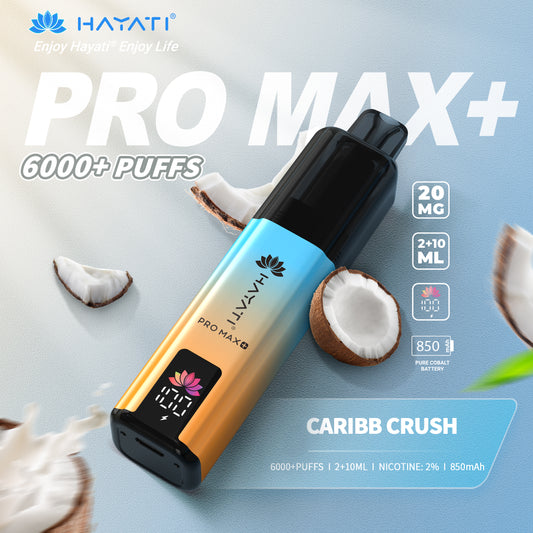 Hayati Pro Max+ 6000 Puffs Disposable Vape | Eazy Vapes